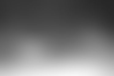 Trail cam: Big cat in FDL County