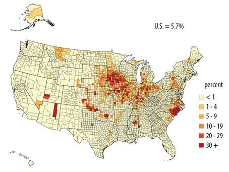 Hogs health threatened by swine disease outbreak
