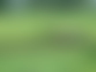 Manure spill incident in Kewaunee County