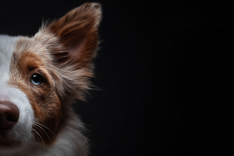 IMG_2507 half_edited.jpg