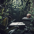 AdobeStock_411756199.jpeg