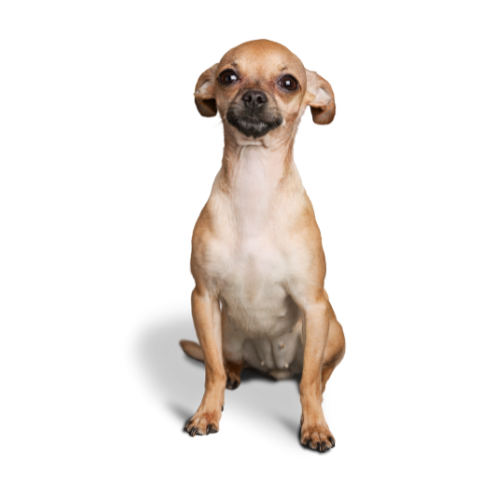 c.png