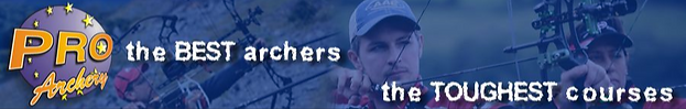 Pro Series Banner.png