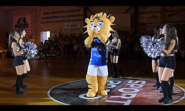 mascotte-evenement-vendee.jpg