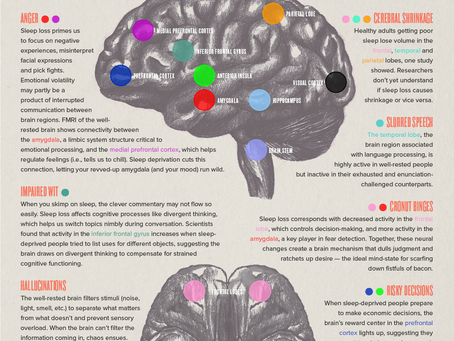 This Is Your Brain on Not Enough Sleep