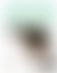 Collector’s library