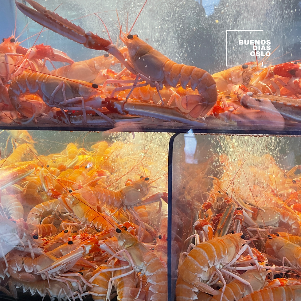 Buenos días Oslo - Mercado de pescados y mariscos Bergen