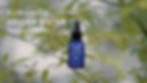 Tanzawa MON