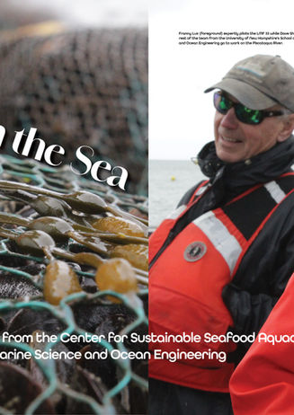 Further Magazine. Grown from the Sea. Photography by David Pollard