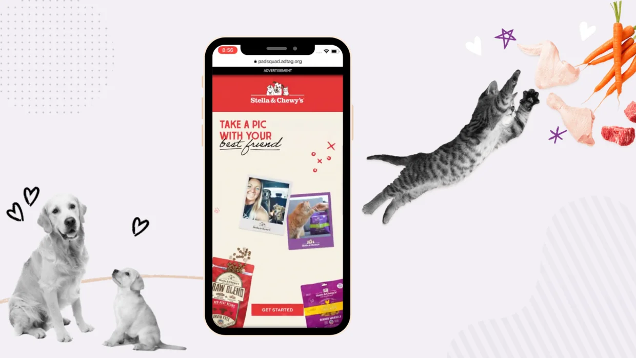 Using AR in Advertising Campaign Drove Results for Stella & Chewy's