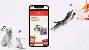 Phone displays Stella & Chewy's ad with dogs and a cat, plus carrots and meat on a pale pink background.
