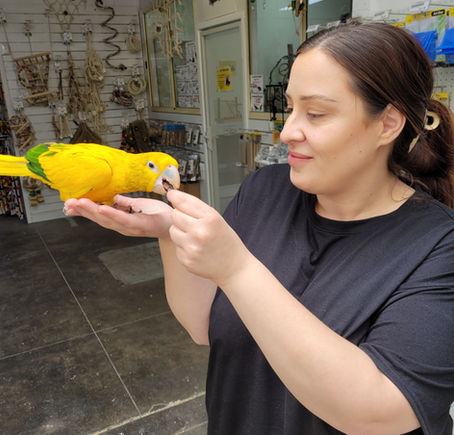 A Positive Approach To Problem Parrot Behaviour