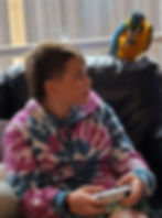 A young boy sits on a couch with a game console controller in his hands, a Blue and Gold Macaw sits behind him playing with a foot toy.