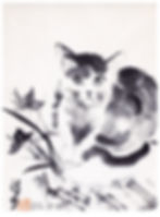 Cat with orchid