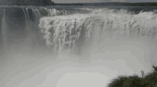 tenor (10).gif