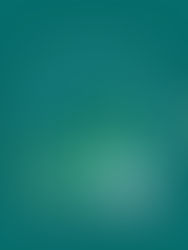 Financial Analysis Dashboard (Sisense, MySQL) 