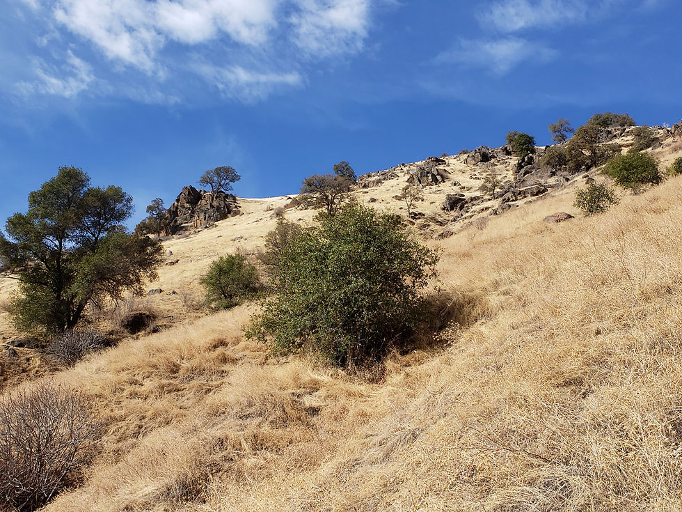 20191124_coloma