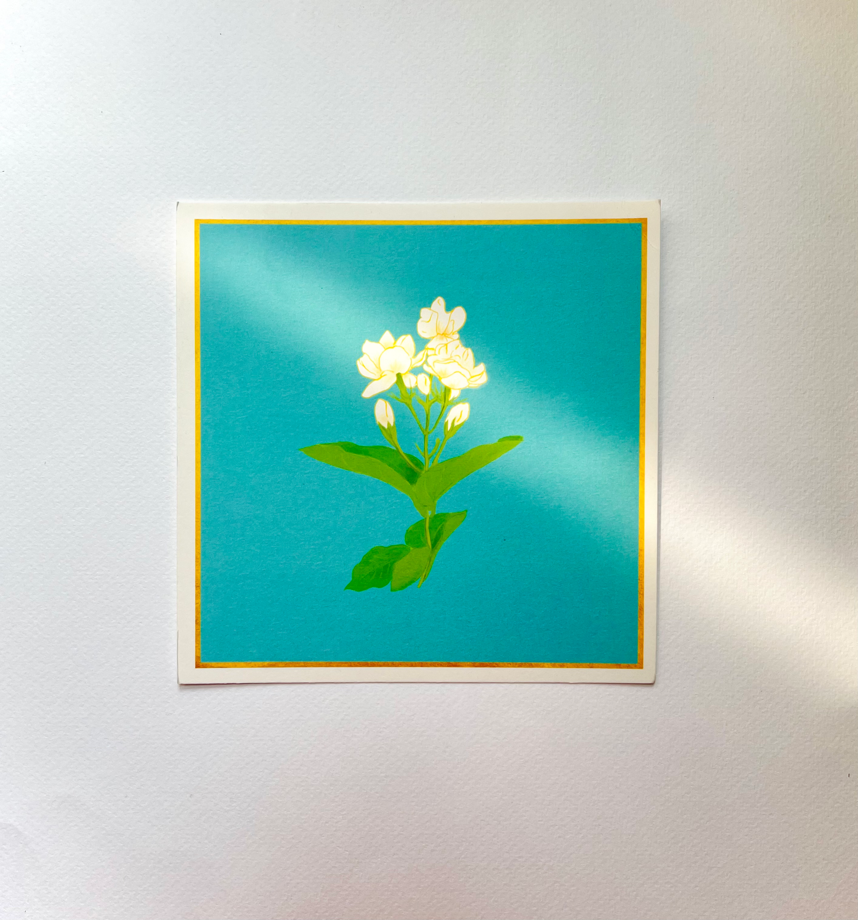 Mogra 1 - Fine Art Print