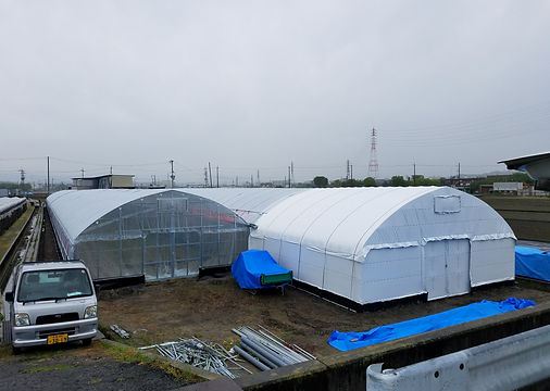 20180424_115300.jpg