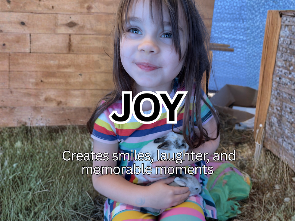 Joy.png
