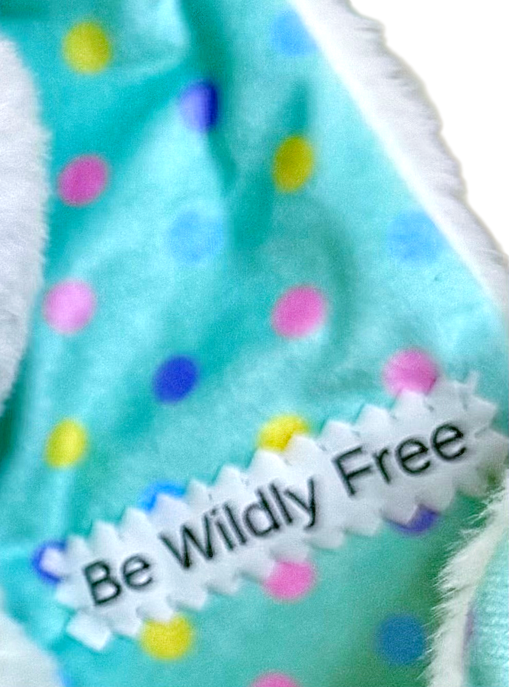 Be Wildly Free_edited.png
