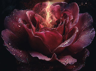 SACRED FEMININE RED (22)-gigapixel-standard v2-5x_websize_edited.jpg