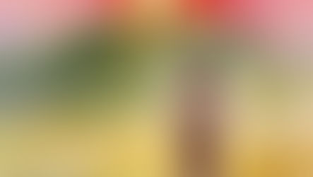 PASEN, een verhaal voor tieners