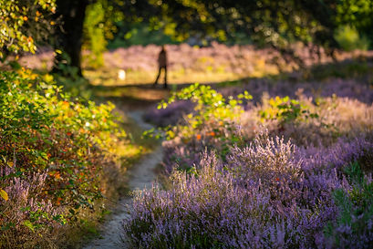 005-Natuur 2026.jpg