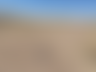 “It’s Not You It’s Me” by Bea Miller Cover by Courtney Marie in my Room