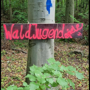Waldjugendspiele 2025 - Spaß hat es gemacht!