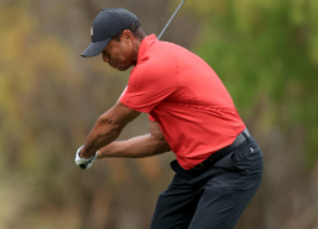 Tiger in front.PNG