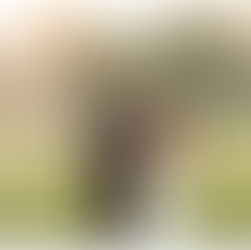 bride and groom popping champagne in a field