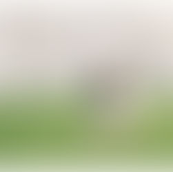 couple walking in front of the field museum