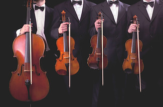 Violins