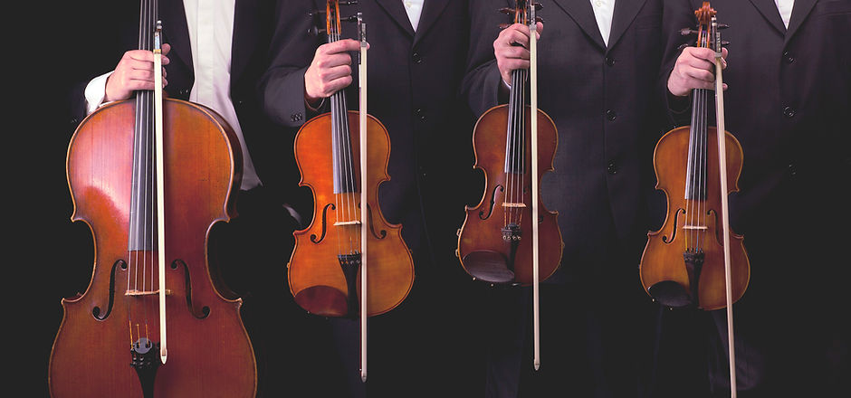 Violins