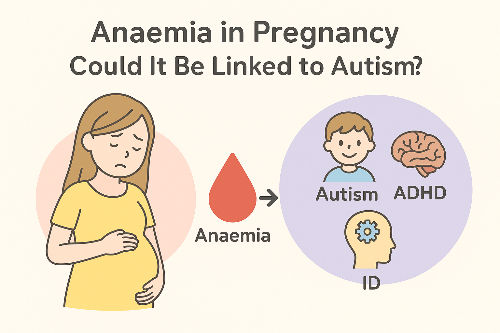 Anaemia in Pregnancy: A Hidden Risk for Autism?