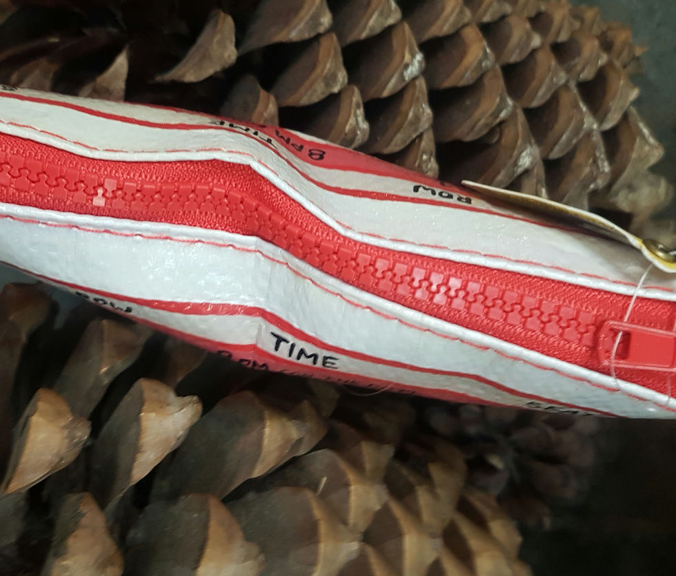 Red and white striped pencil case, TIME TO GOLF, lying on pinecone.