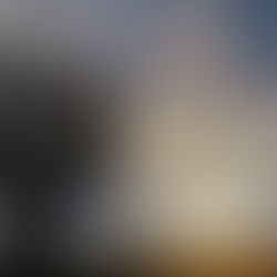 Steel 🦷 🦸‍♂️