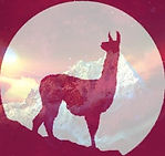 Logo-texto_edited.jpg