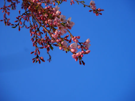 新歓フェスも、もうすぐ