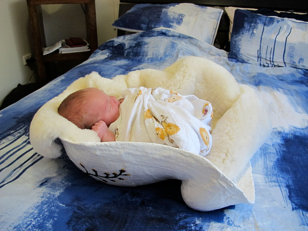 Baby inside his first home