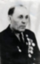 Шелепов Тимофей Алексеевич, Почетный гра