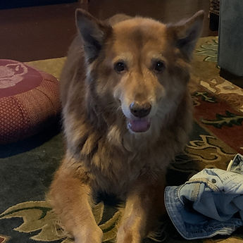 Kaya