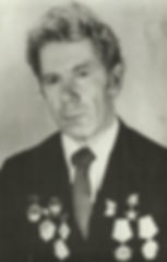 Прибыльнов Василий Яковлевич, Герой Соци