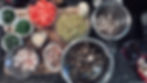 Cioppino Ingredients Prepped