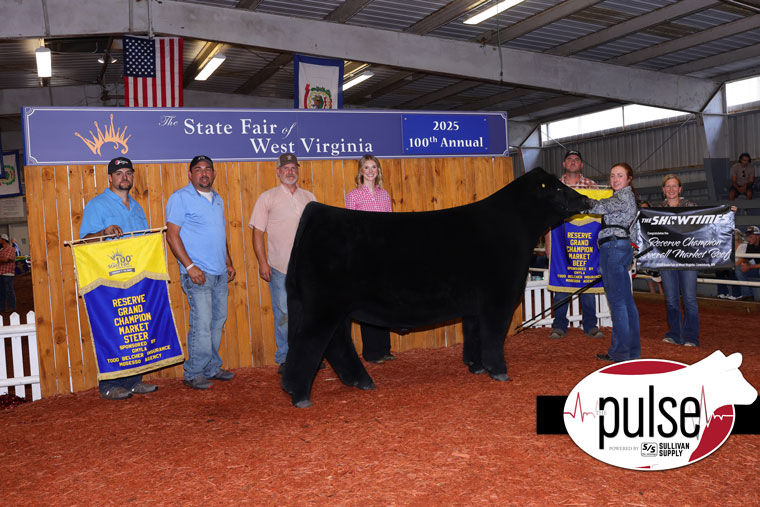 RESERVE OVERALL MARKET ANIMAL WEST VIRGINIA STATE FAIR SIRED BY HIA