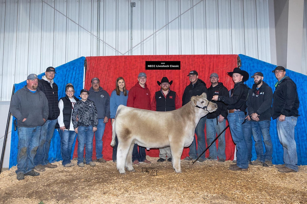 Seventh Overall Steer NECC Livestock Classic sired by Holy Smoker