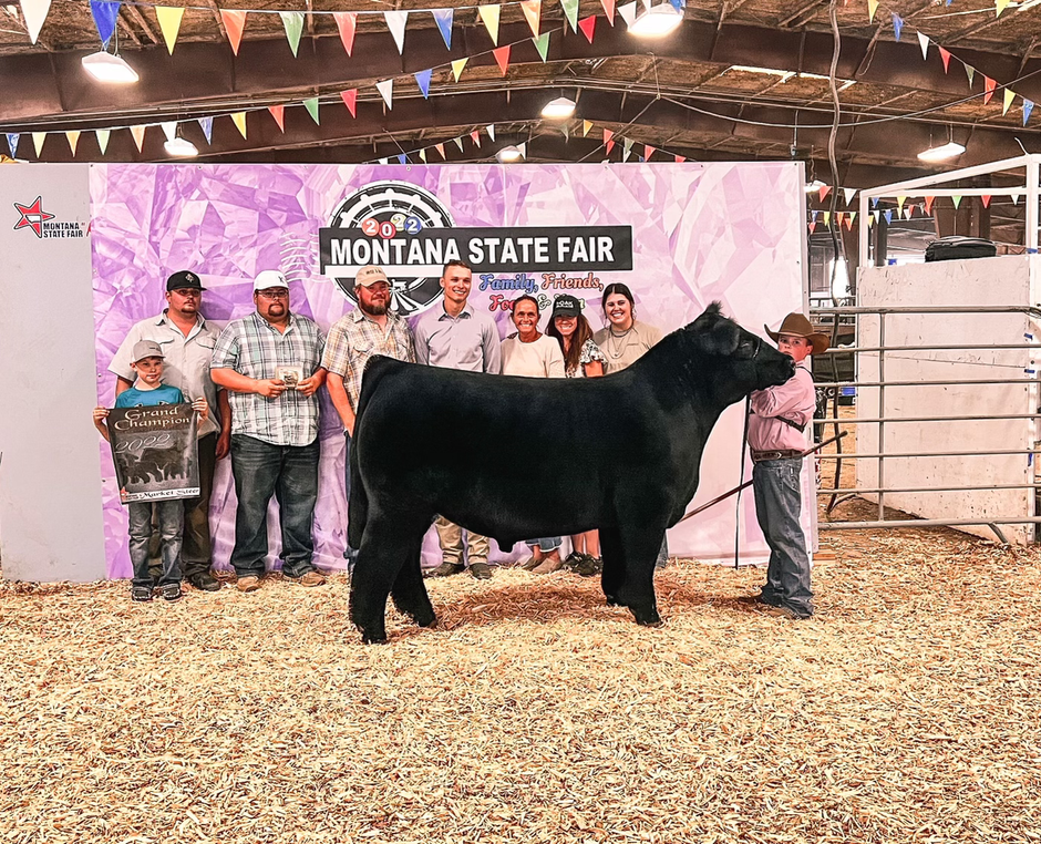 Grand Champion Market Steer Montana State Fair sired by Wynne in Doubt!