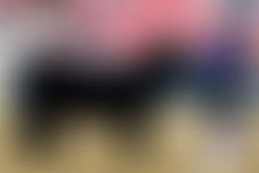 TOP 10 MARKET ANIMALS AT OHIO BEEF EXPO SIRED BY RODGERS BULLS