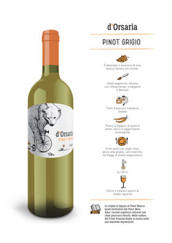 DORSARIA_pinot-1